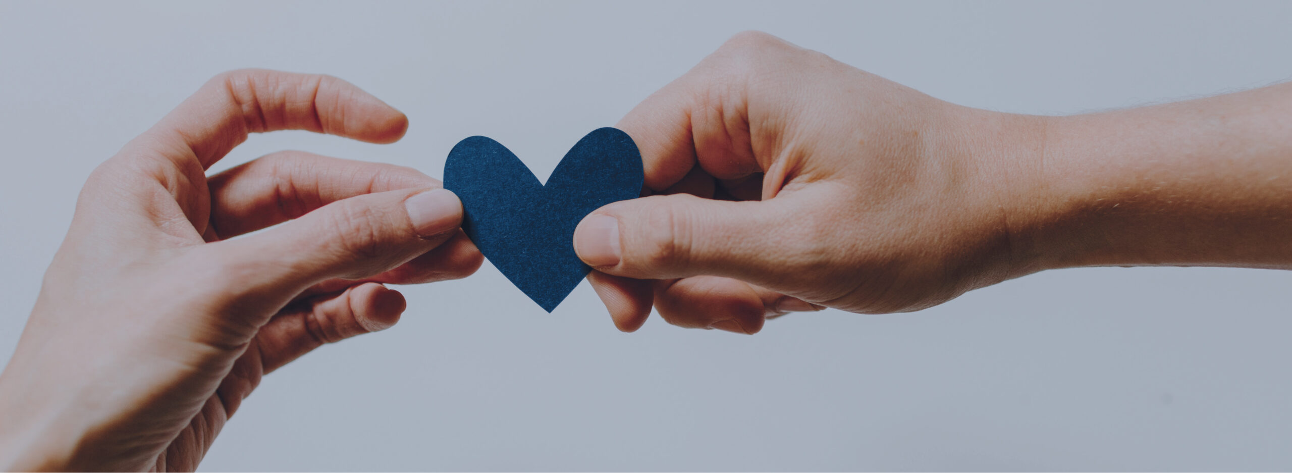 Hudson Valley Cancer Alliance